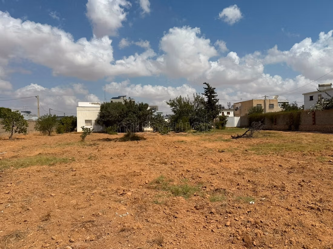 Terrain de 1 334 m² à vendre – Route El Ain Km 4