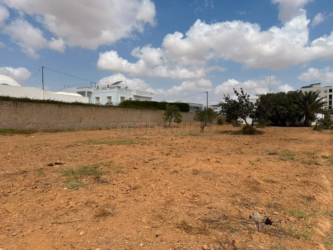Terrain de 1 334 m² à vendre – Route El Ain Km 4