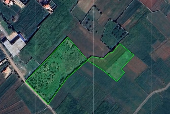 Terreno estratégico Sidi Bouzid y El Jadida