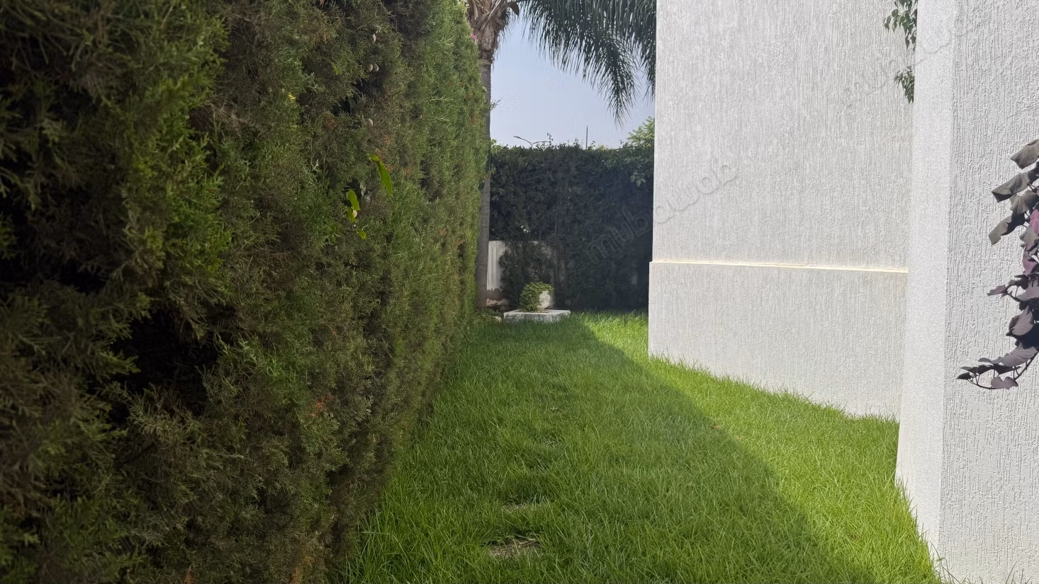 Location de bureaux à Sidi Maarouf.
Surface de 500 m².
Jardin et terrasse