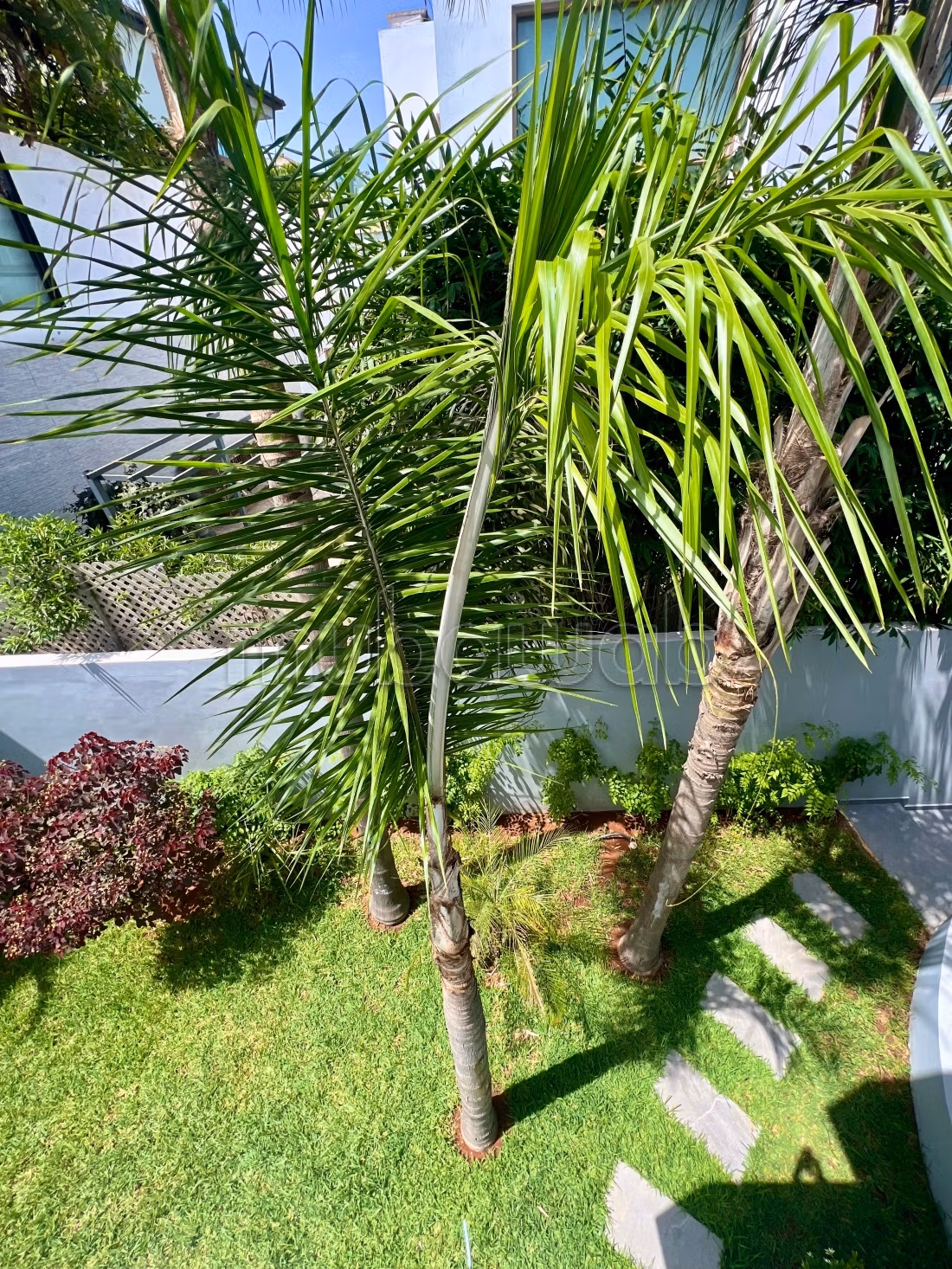Bella Villa NUOVA ad Ain Diab