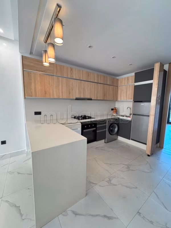 Studio oasis vide