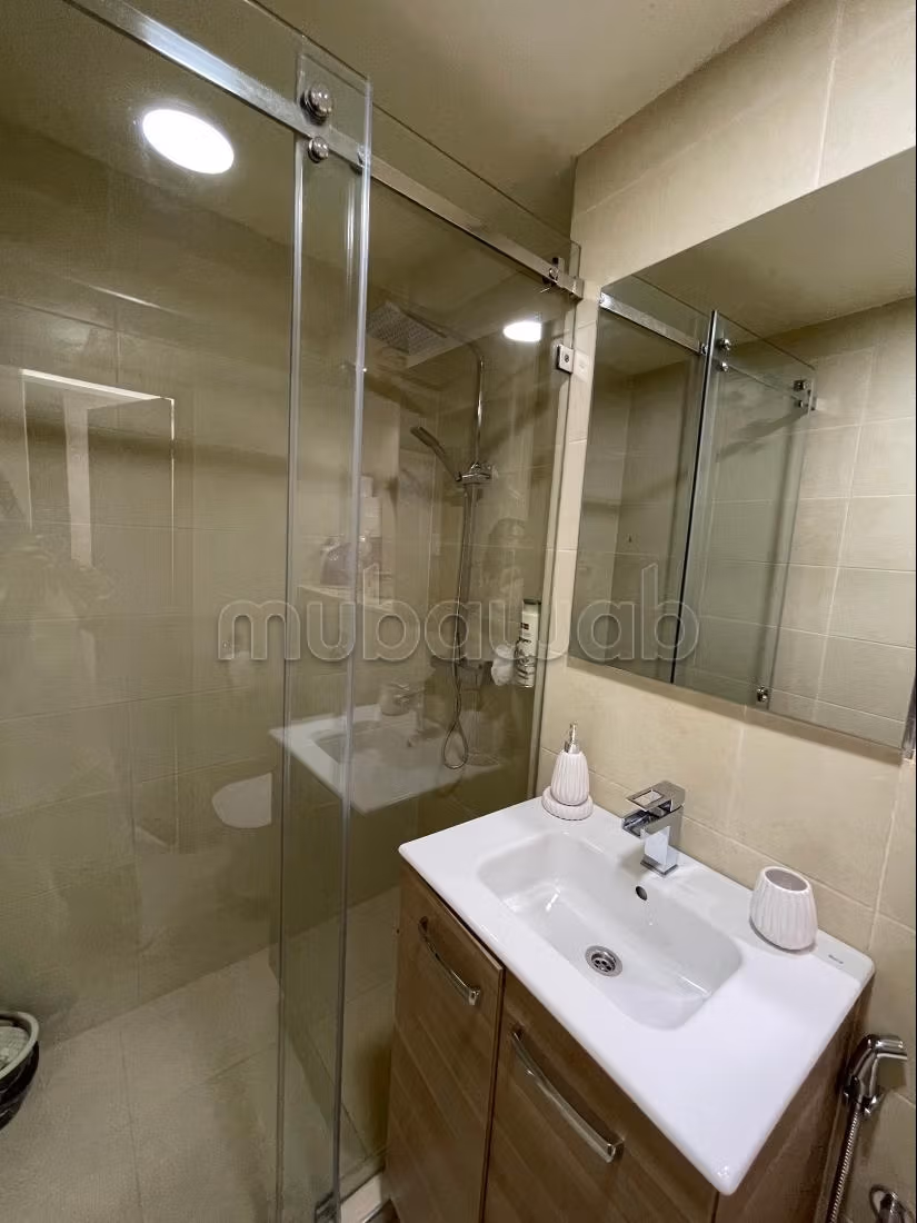 Luxurious New Apartment
