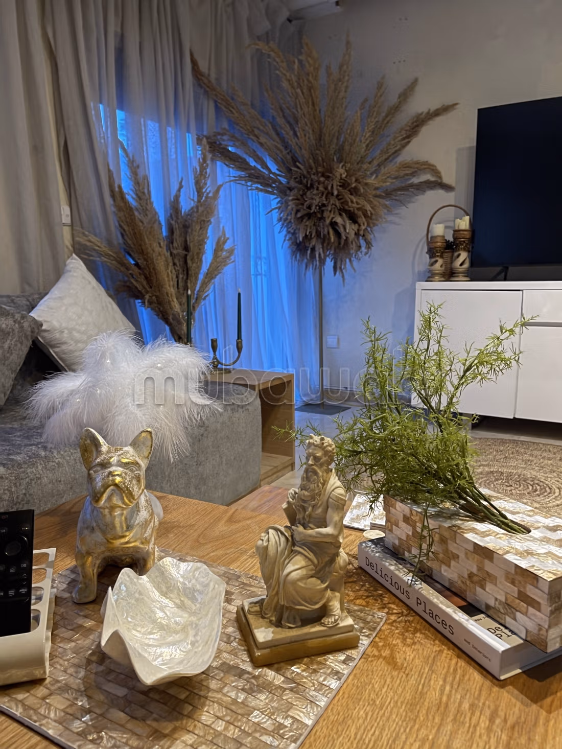 Luxury Villa for Rent – Elegance & Comfort