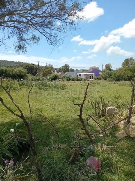 Perceel te koop in het hart van Hajrat Al Nahal, Tange