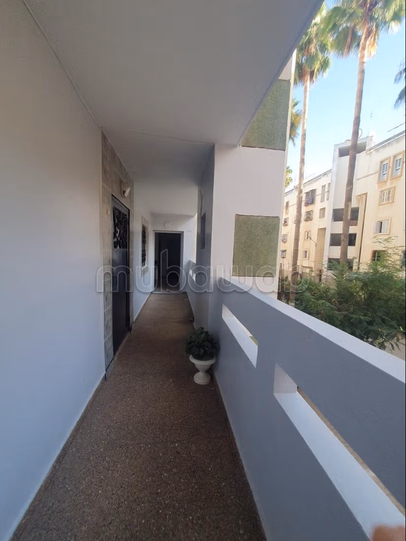 À vendre : Appartement à Sidi Maarouf. 1 bonne chambre. Grande terrasse — 3