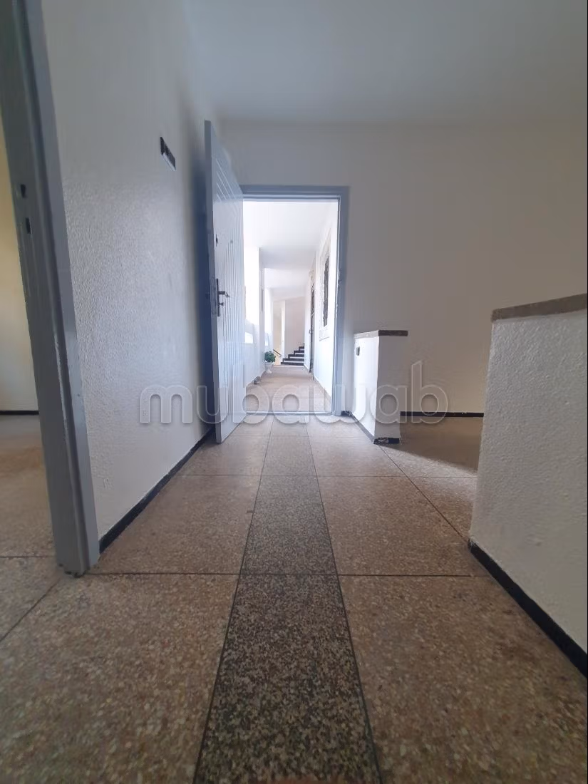 À vendre : Appartement à Sidi Maarouf. 1 bonne chambre. Grande terrasse — 4
