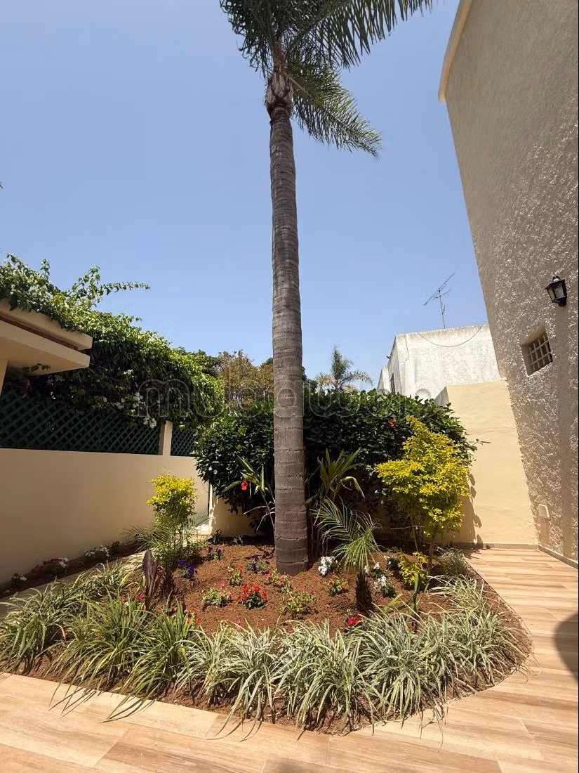 Bella villa ristrutturata in affitto a Hay Riad