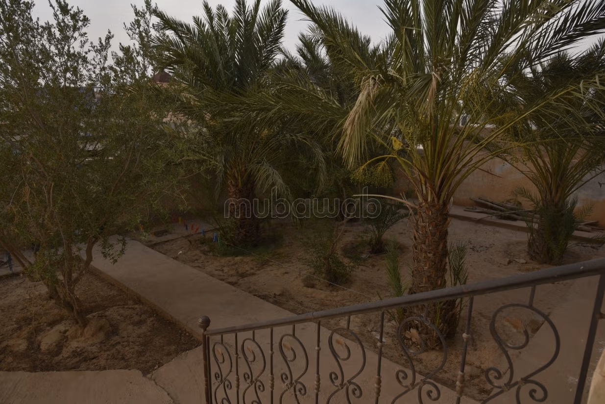 Villa Tozeur 1200m² Guest House
