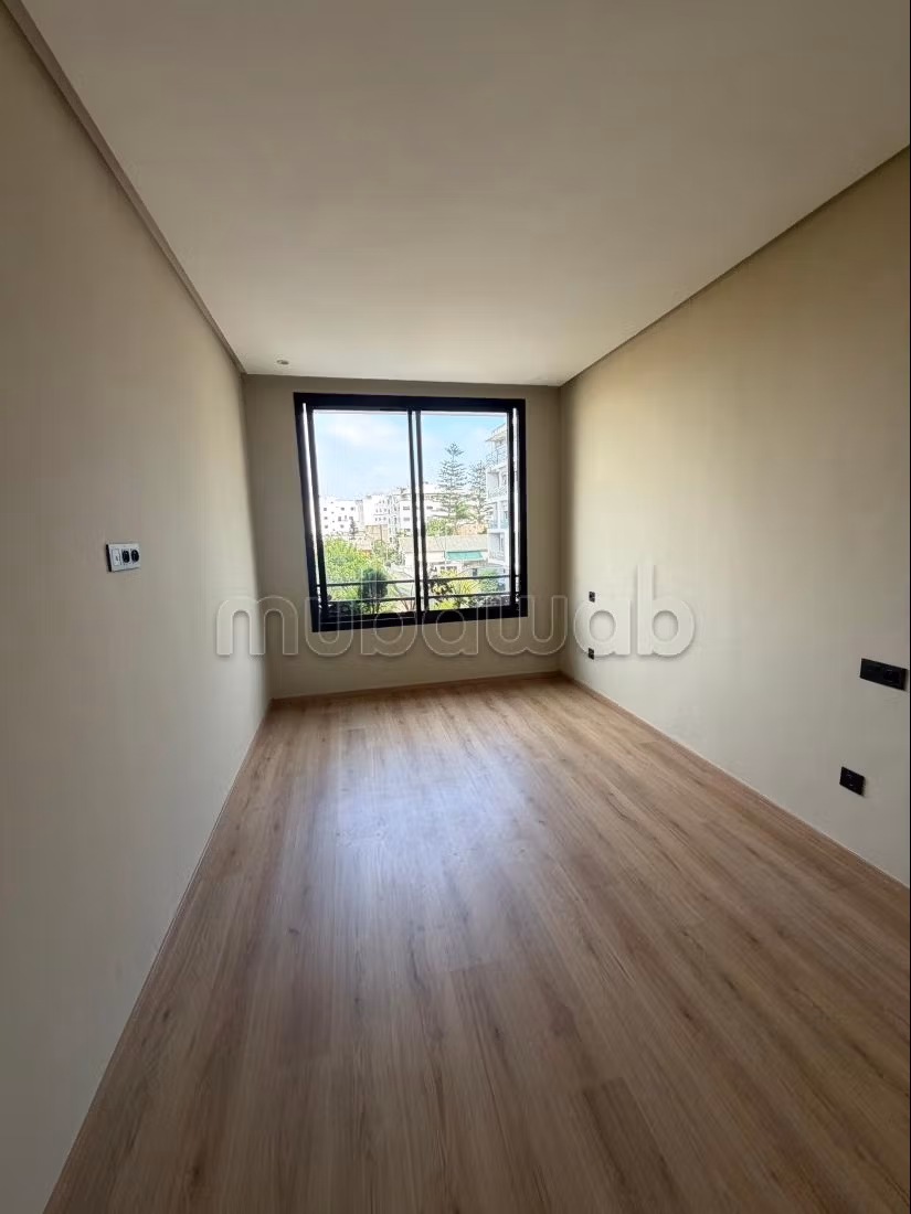 Studio premium da cogliere