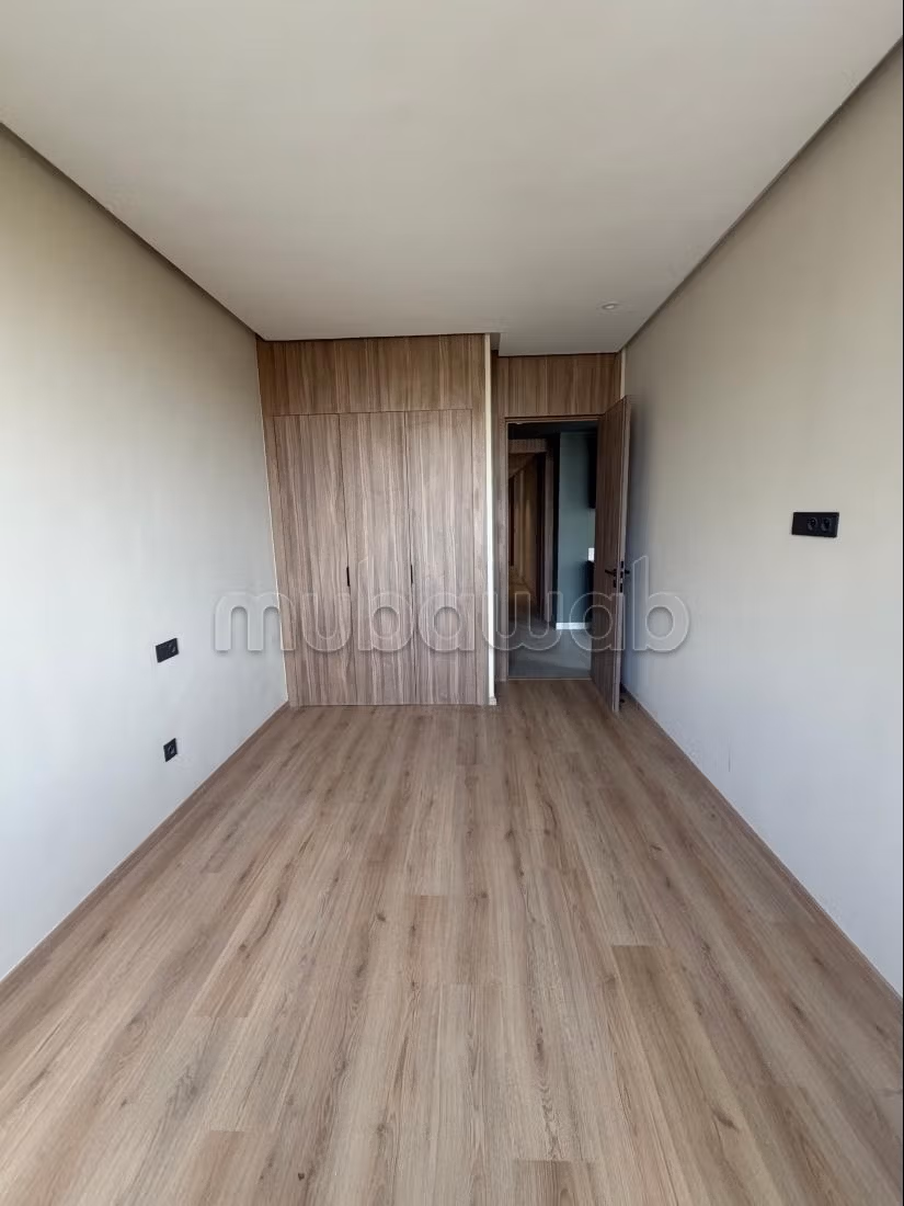 Studio premium da cogliere