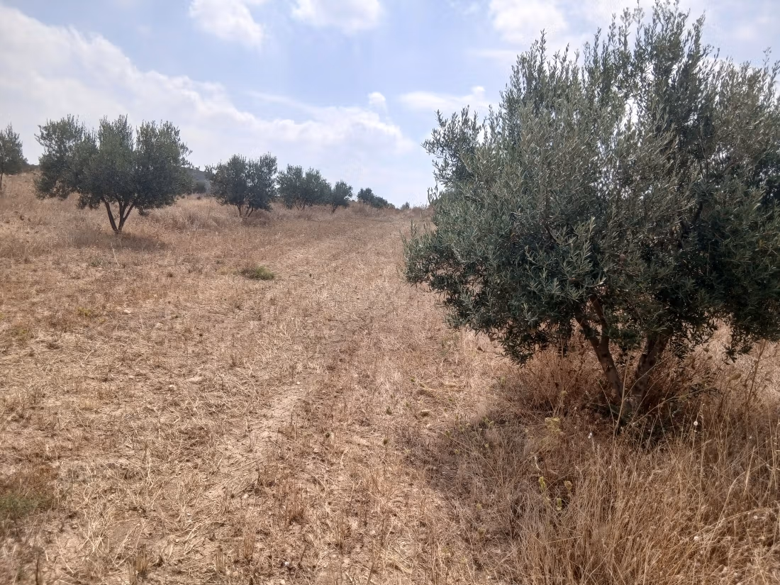 Avendre 3 hectare avec vue sur une lac