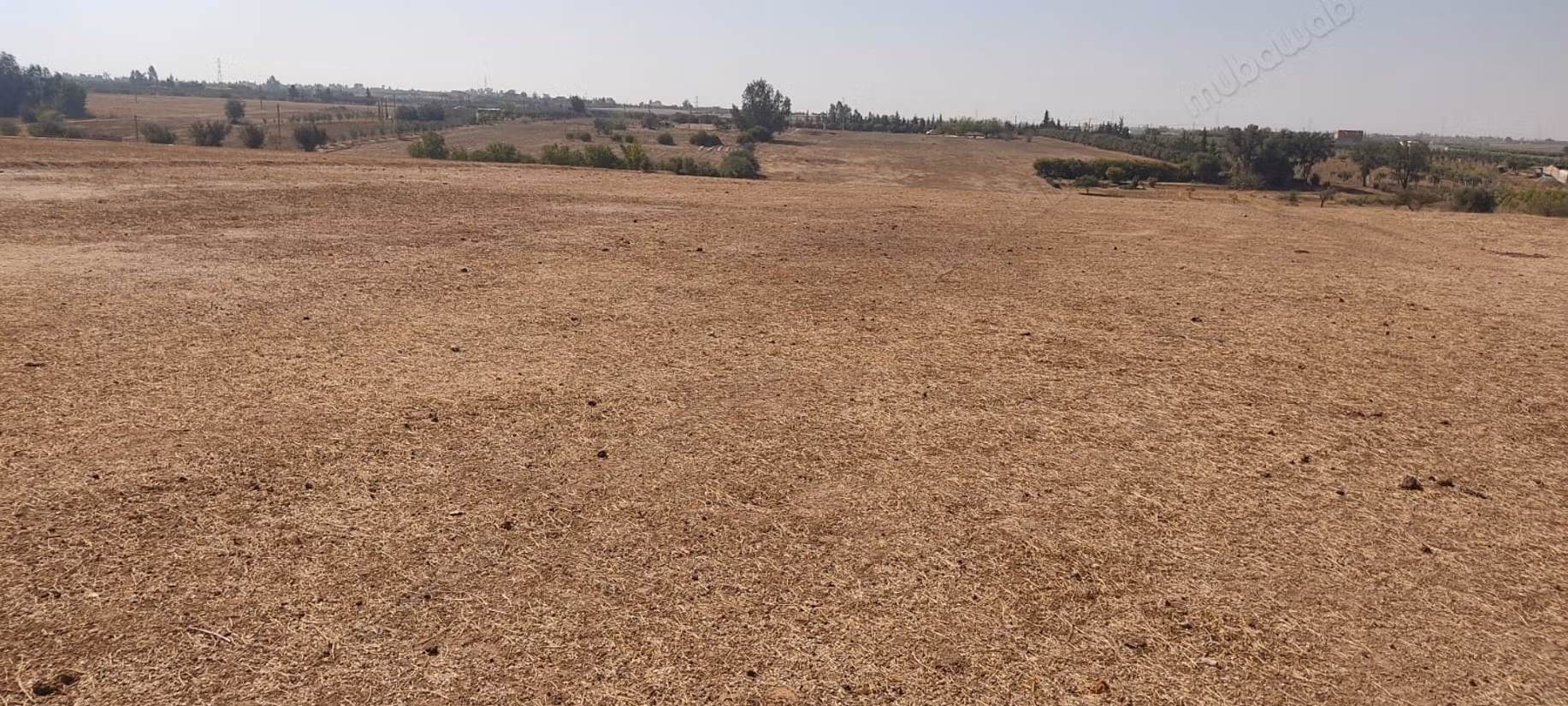 Rara. Granja de 4.55 ha cerca de Tifelt