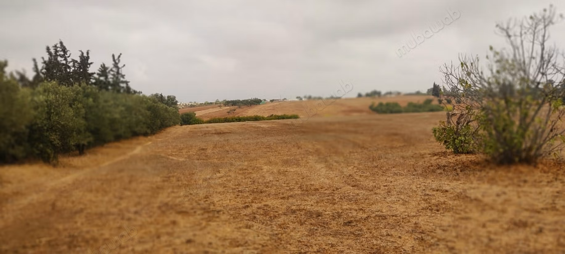 Rara. Granja de 4.55 ha cerca de Tifelt
