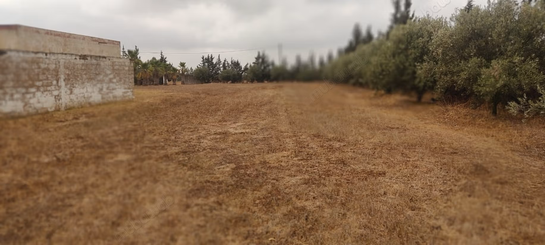 Rara. Granja de 4.55 ha cerca de Tifelt