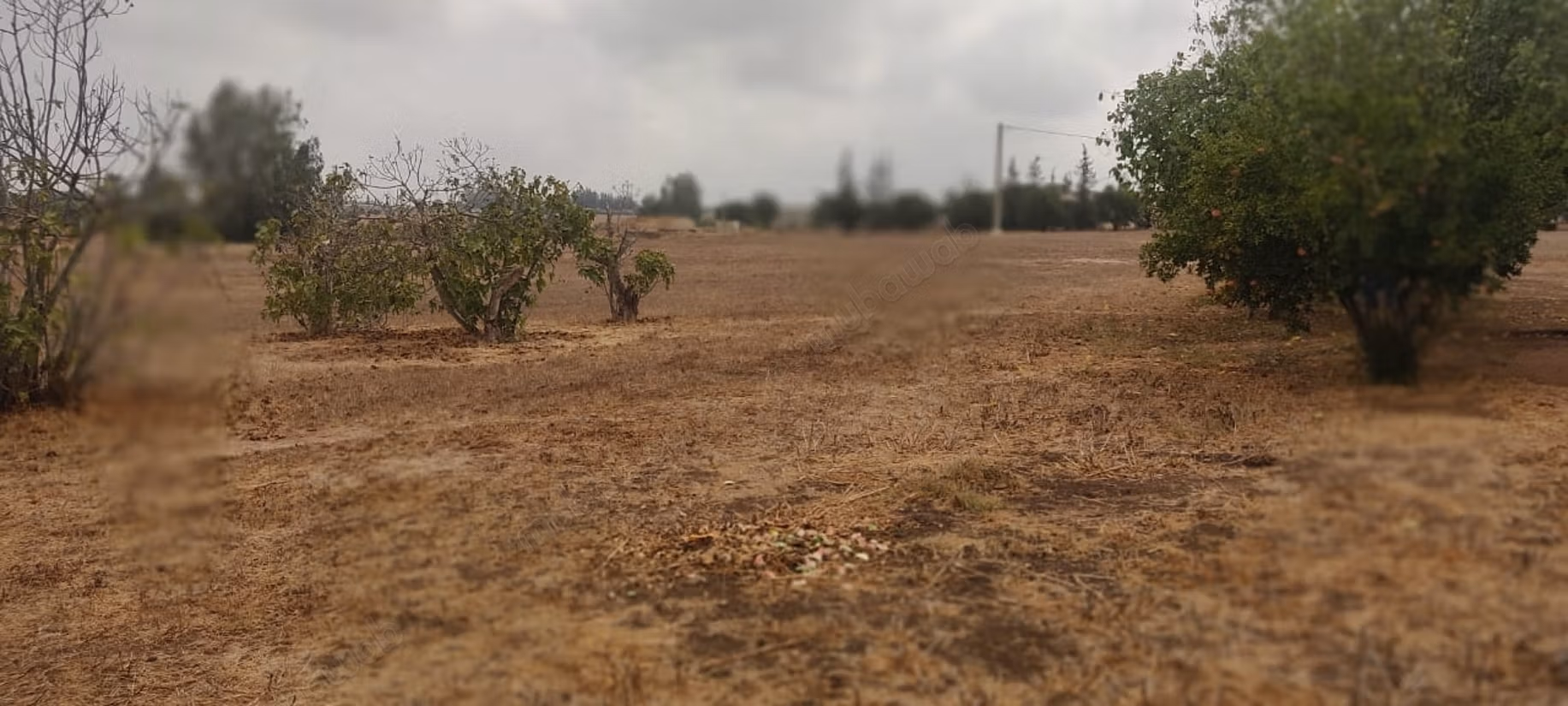 Rara. Granja de 4.55 ha cerca de Tifelt