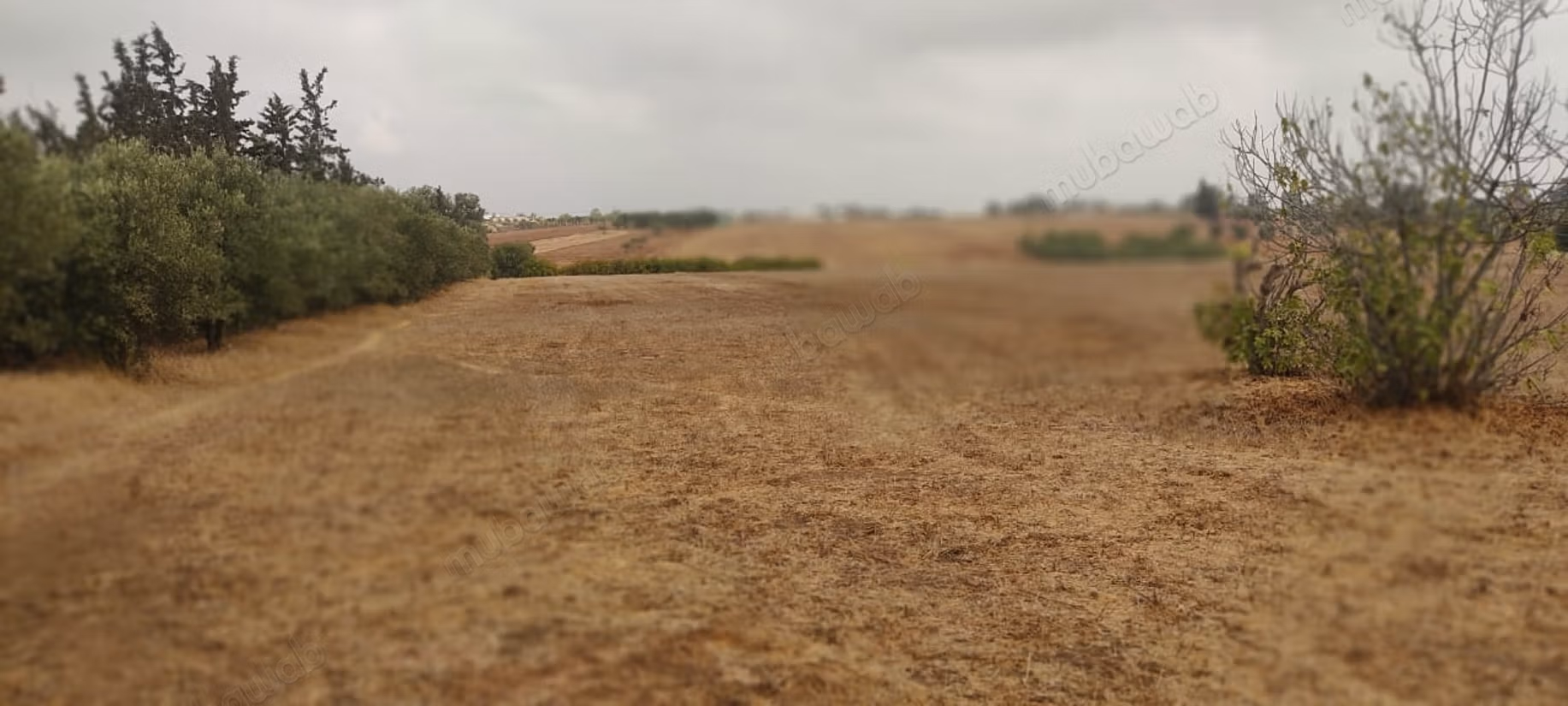 Rara. Granja de 4.55 ha cerca de Tifelt