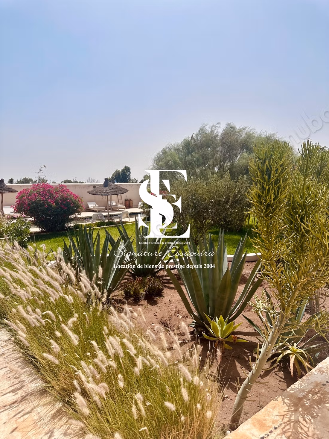 Guesthouse under exclusive mandate in Essaouira