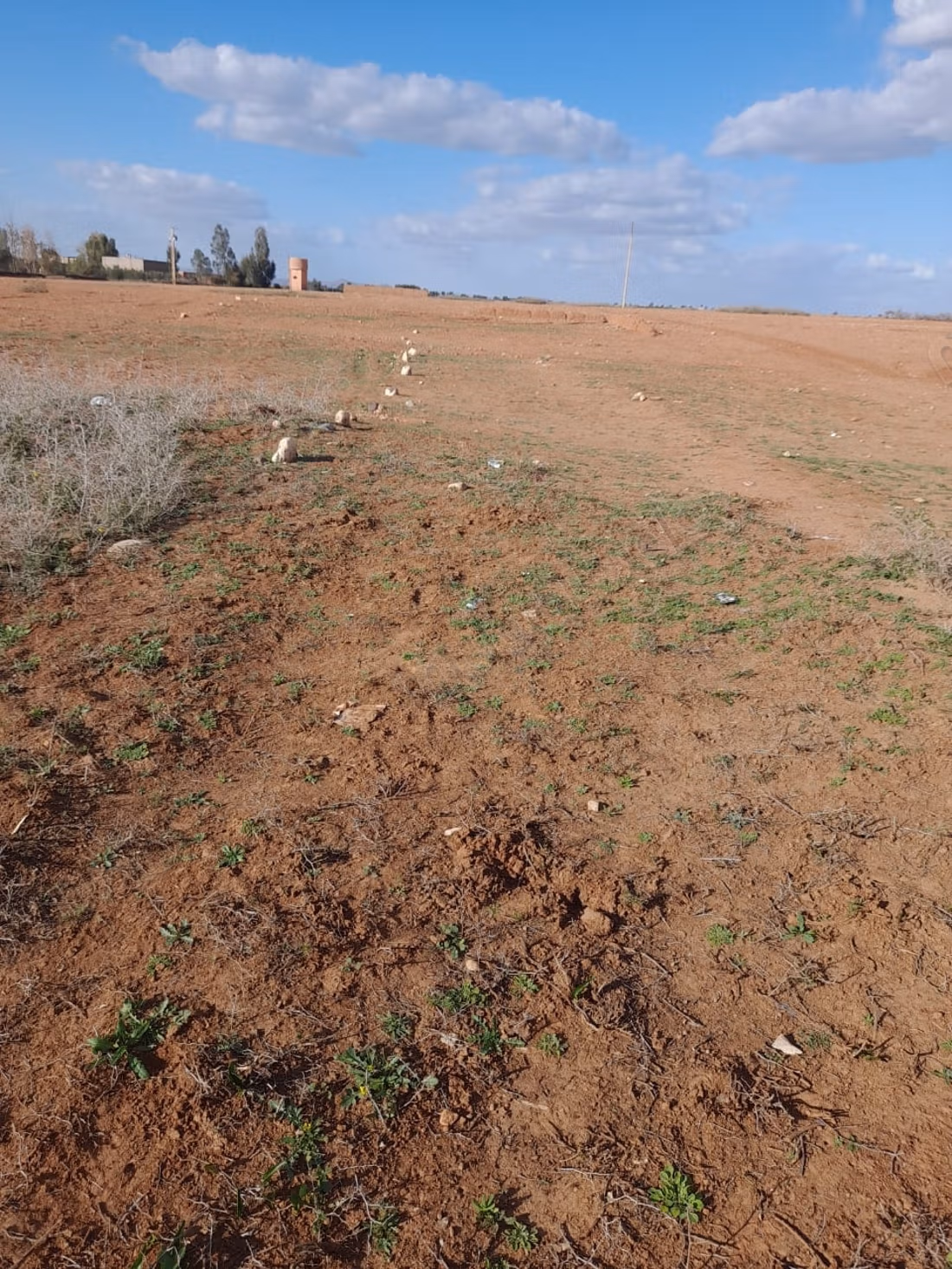 Land for sale