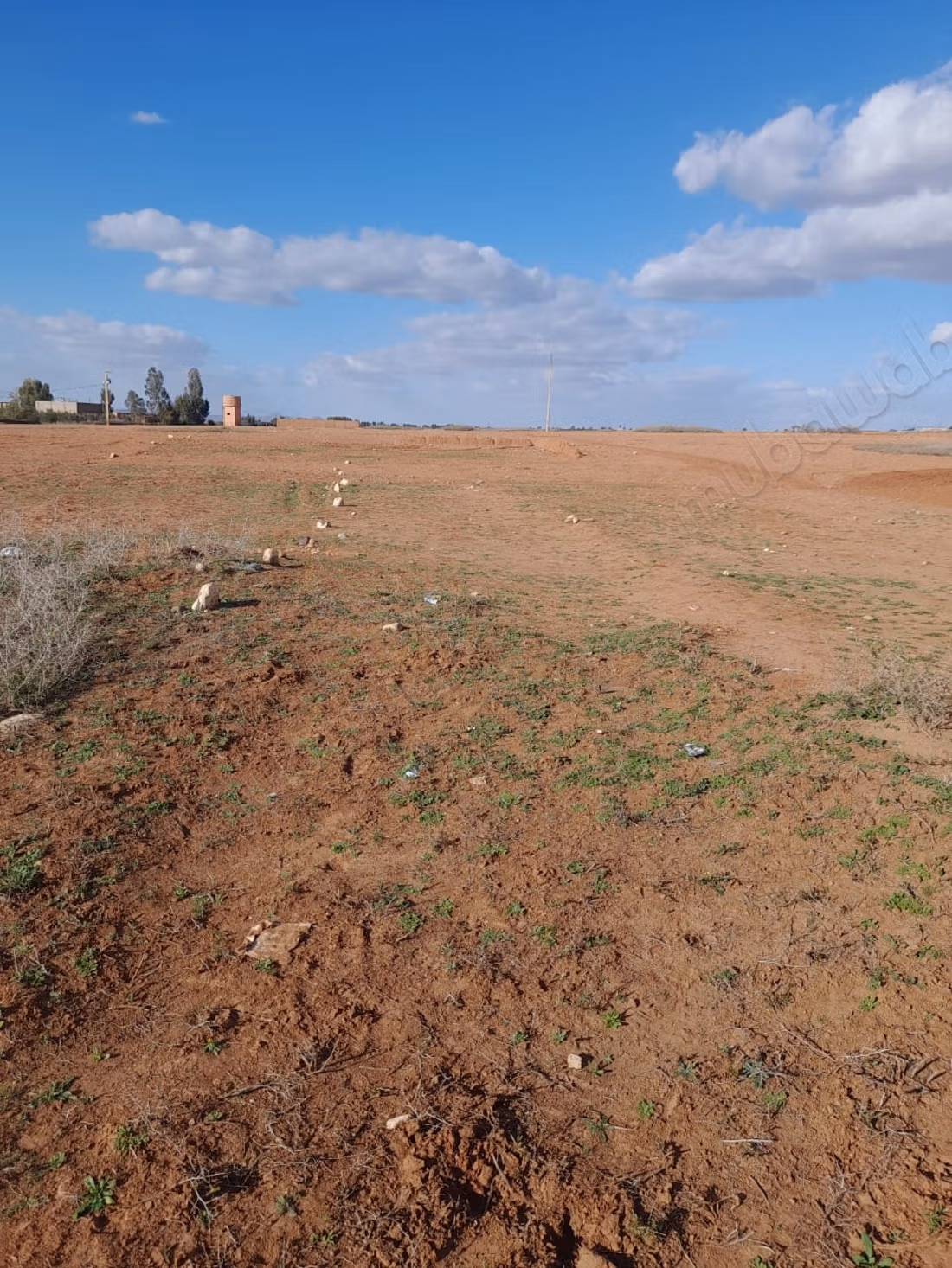 Land for sale