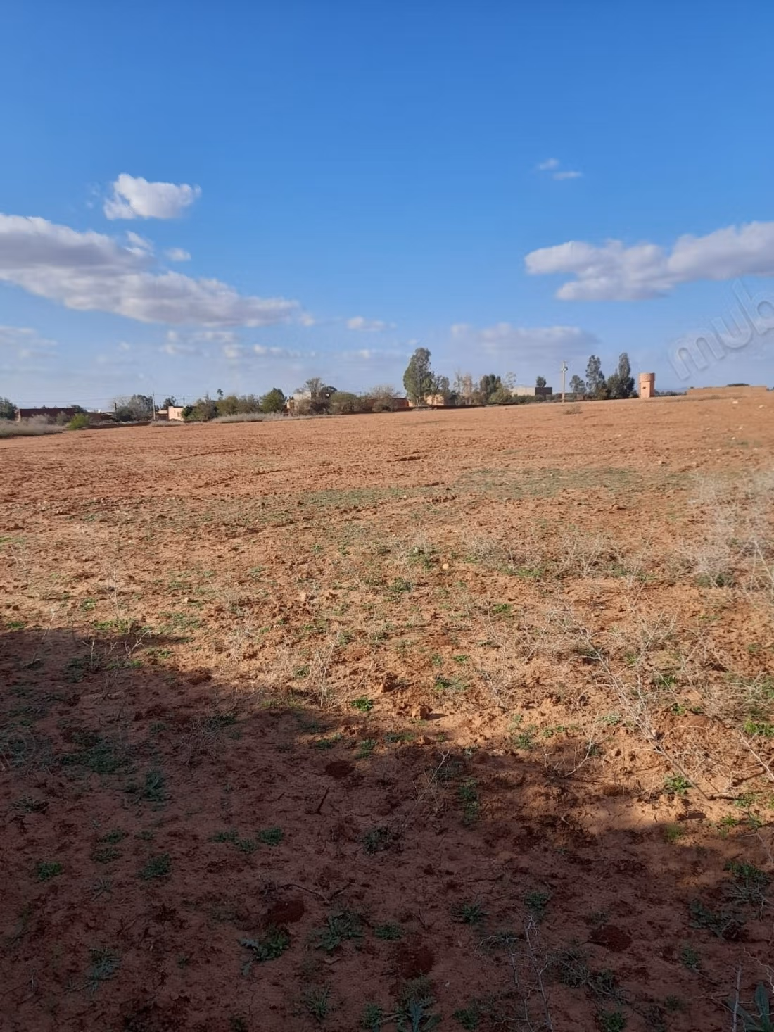 Land for sale