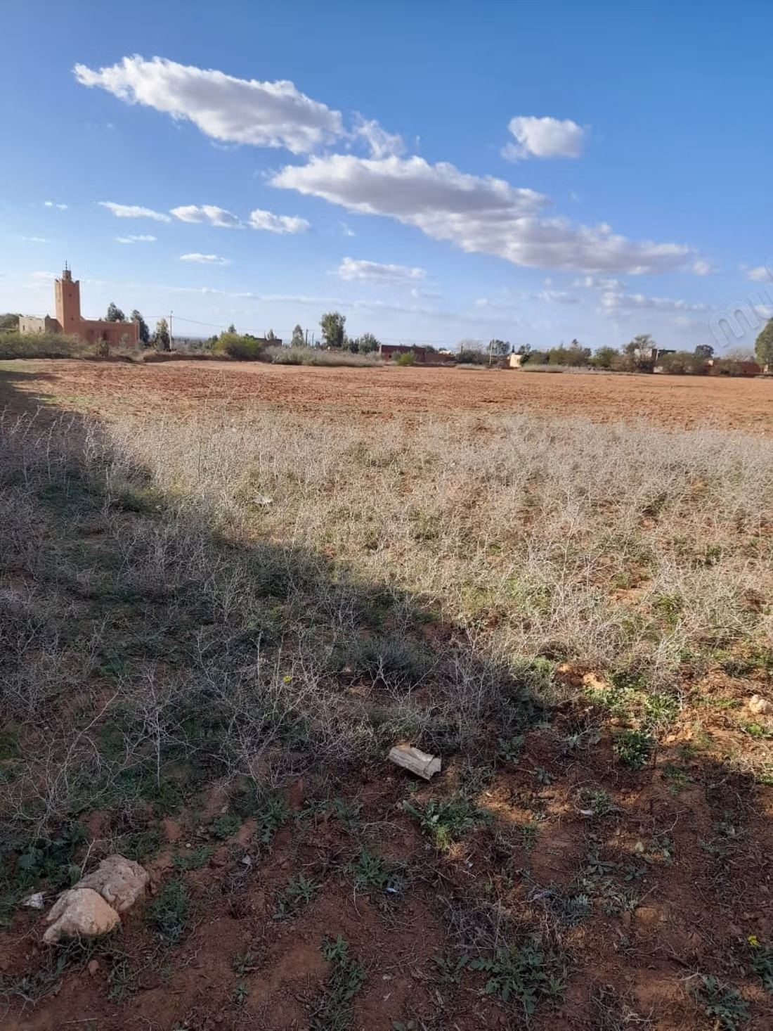 Land for sale