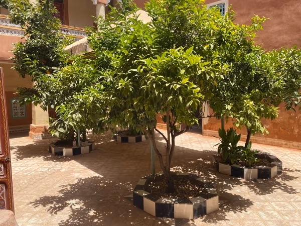 Riad melkia de 243 m² en Zaouia El Abbassia