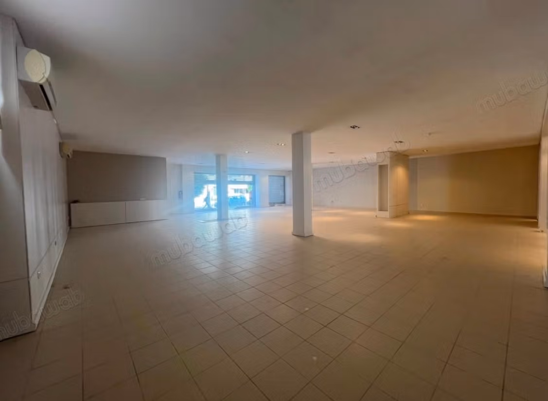 Commercial premises on the main road