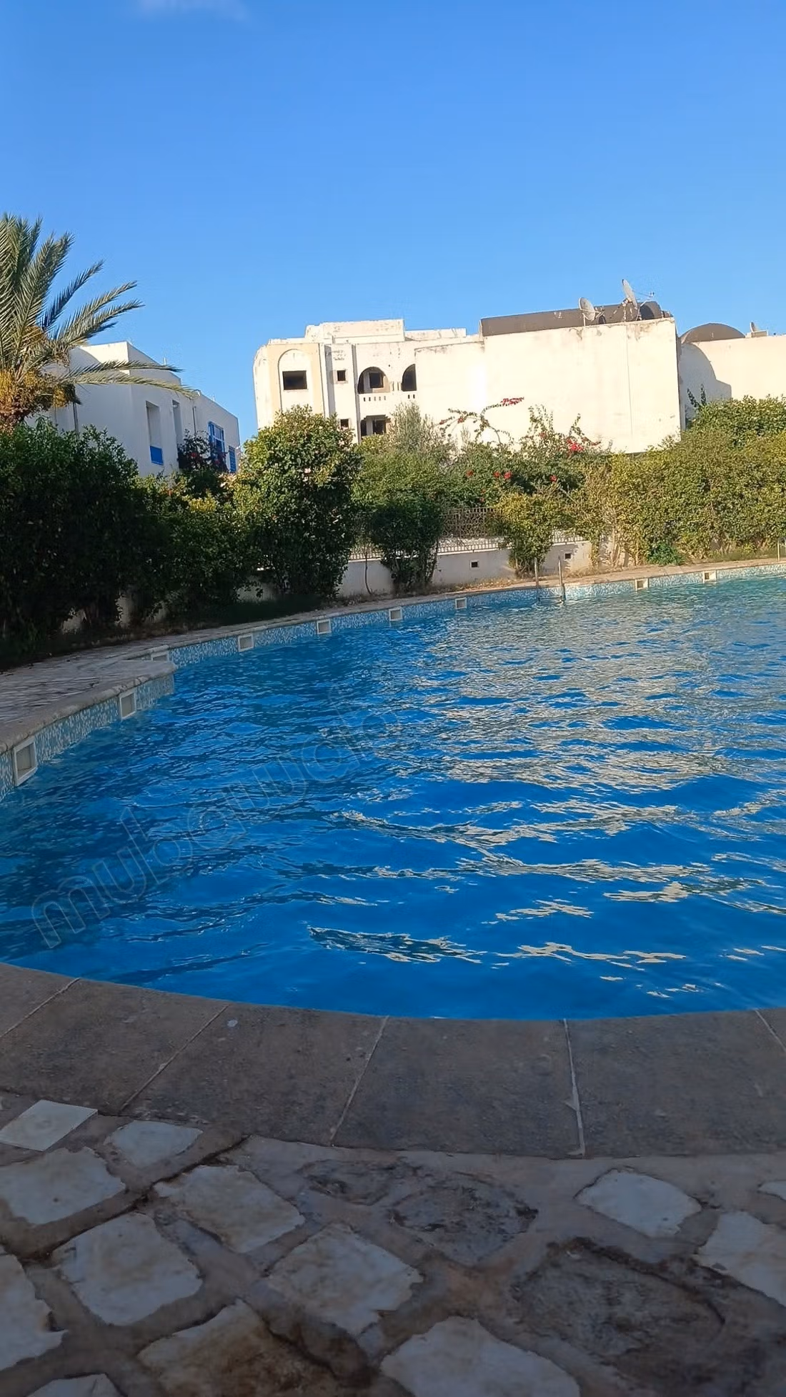 Appartement S1 Hammamet