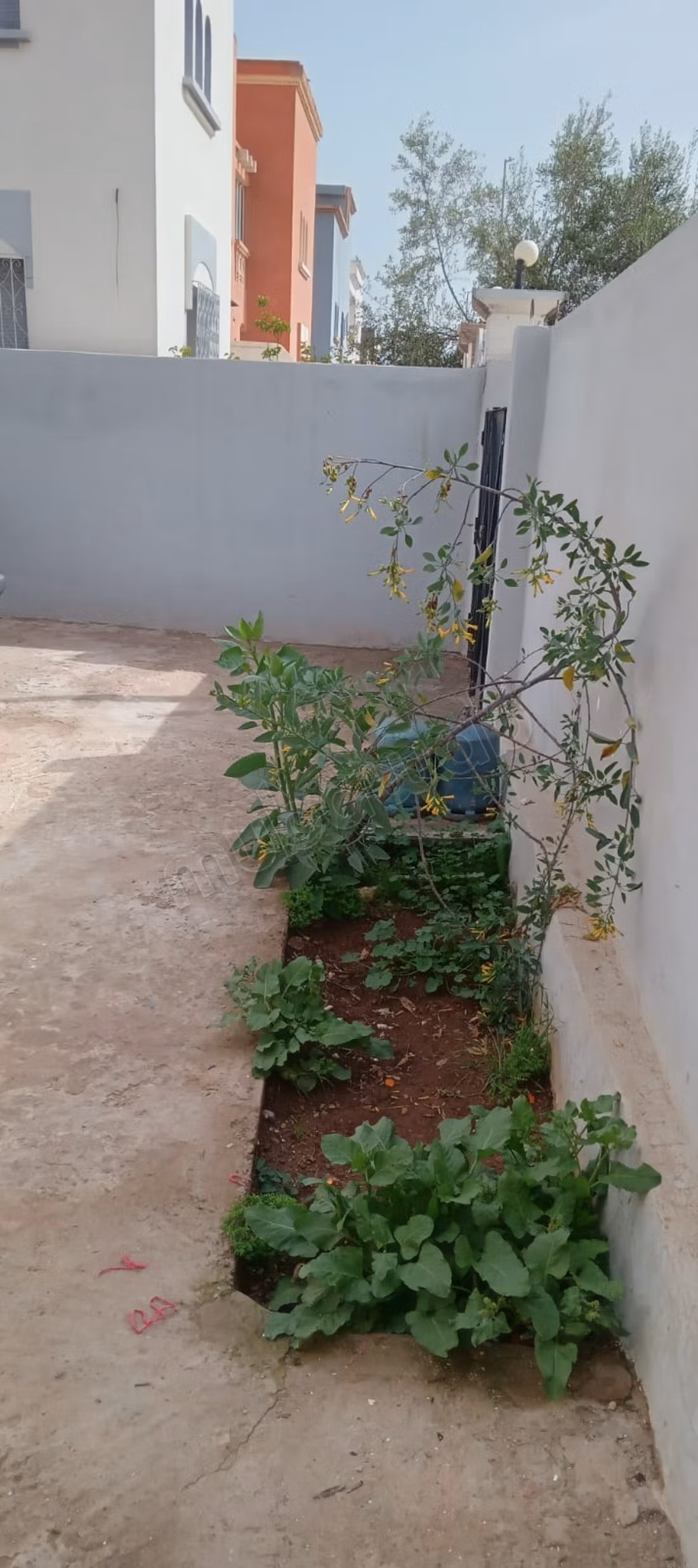 Villa a vendre farah settat