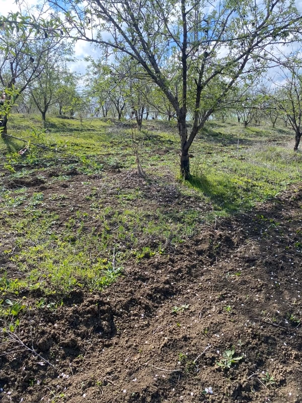 Terreno en venta en Had Soualem. Superficie total 571 m²