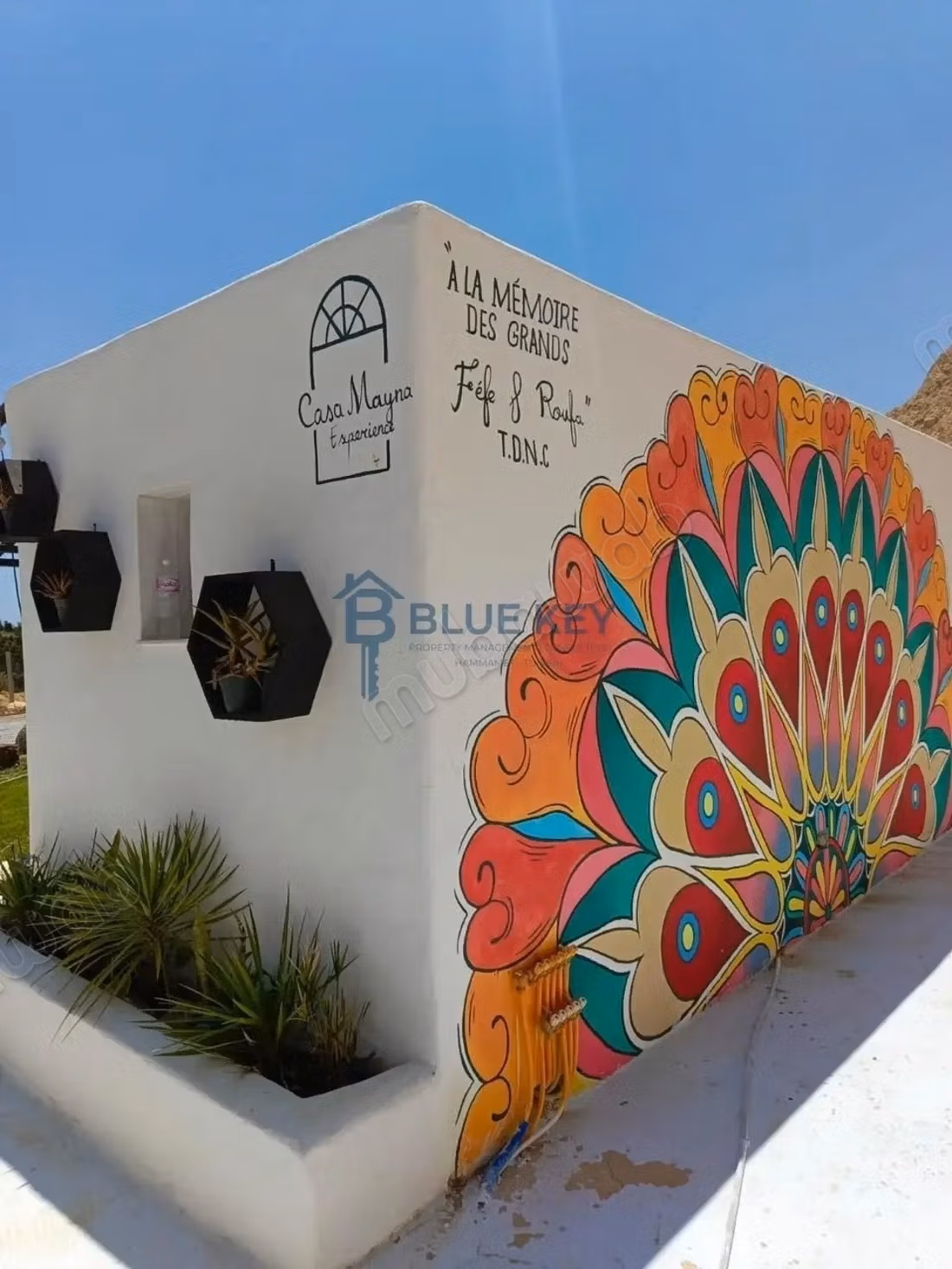 Manifique maison de compagne a hammamet a vendre