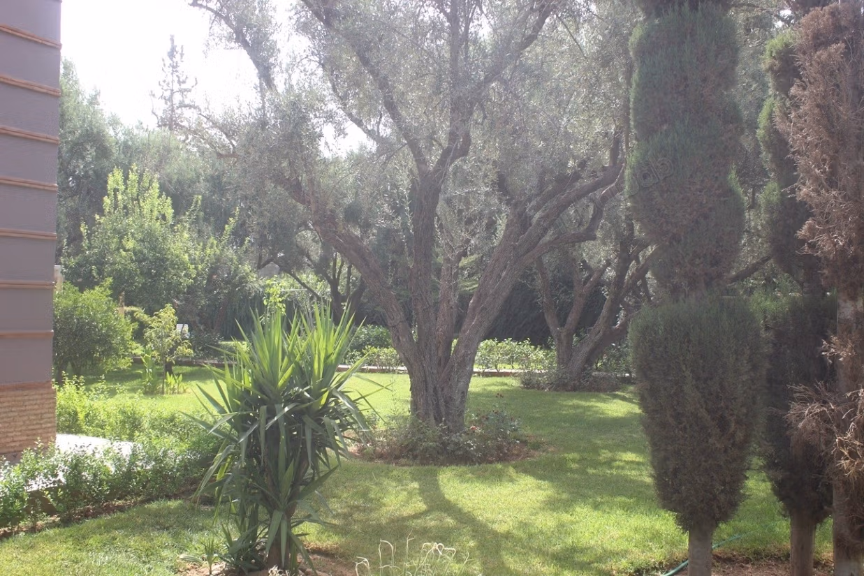 House for rent in a heavenly vegetation