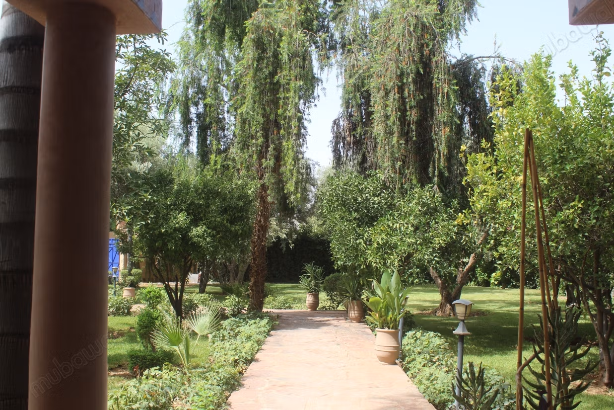 House for rent in a heavenly vegetation