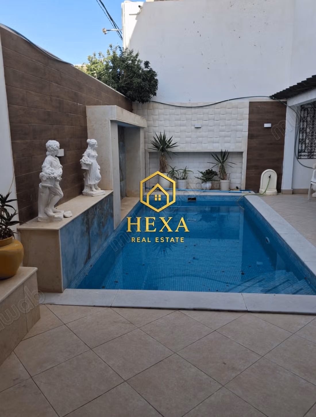 S4 with pool in La Marsa