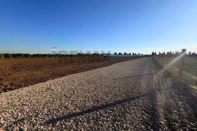 In Vendita terreno di 1,6 ettari a Chorfech