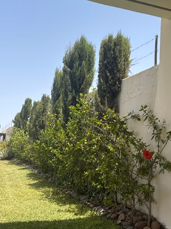 Terrain zone villa deux façades commerciale à la vente sur boulevard Driss charaibi 
Surface de 300 m²