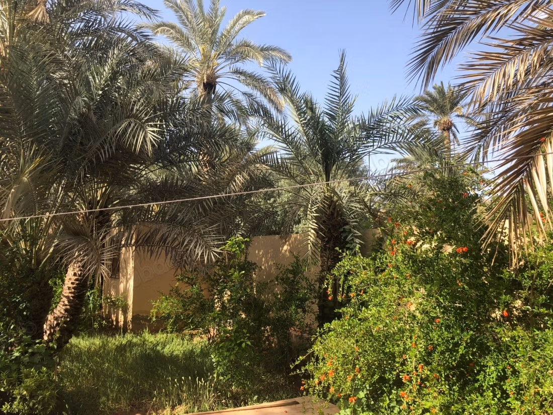 Trova il tuo riad da acquistare ad Arfoud. 5 belle camere. Terrazza e giardino