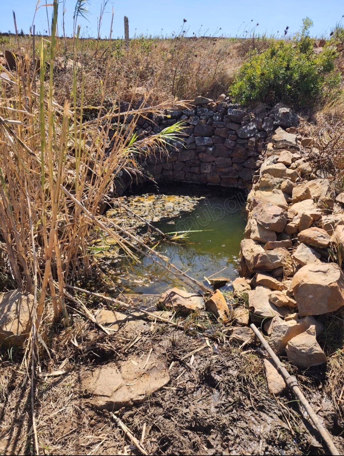 Grond te koop in Al Bahraoyine. Ain Zitouna Oppervlakte 9514 m²