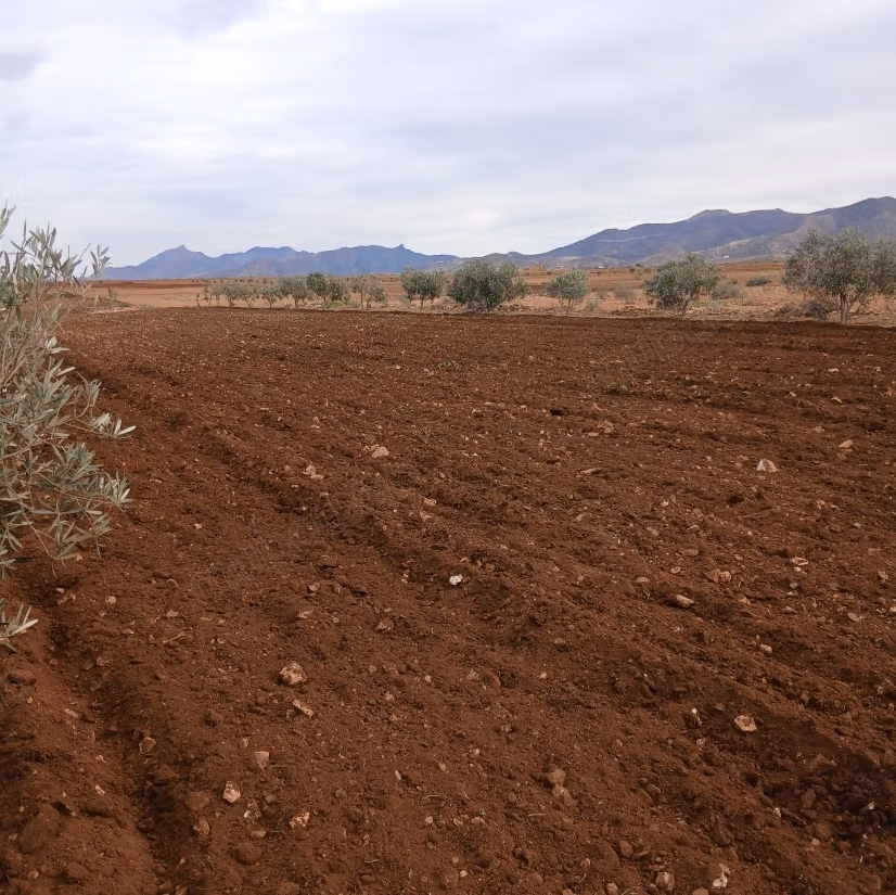 Terreno registrado en venta en la región de Nador, Arkaman, Lehdara, con una superficie total de 10,000 m²