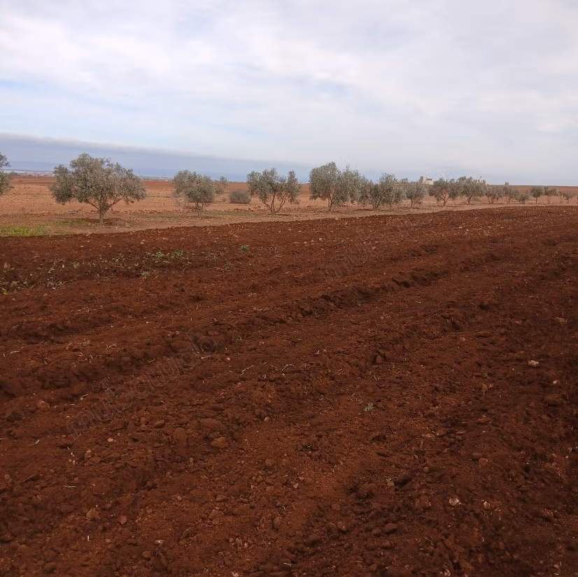 Terreno registrado en venta en la región de Nador, Arkaman, Lehdara, con una superficie total de 10,000 m²