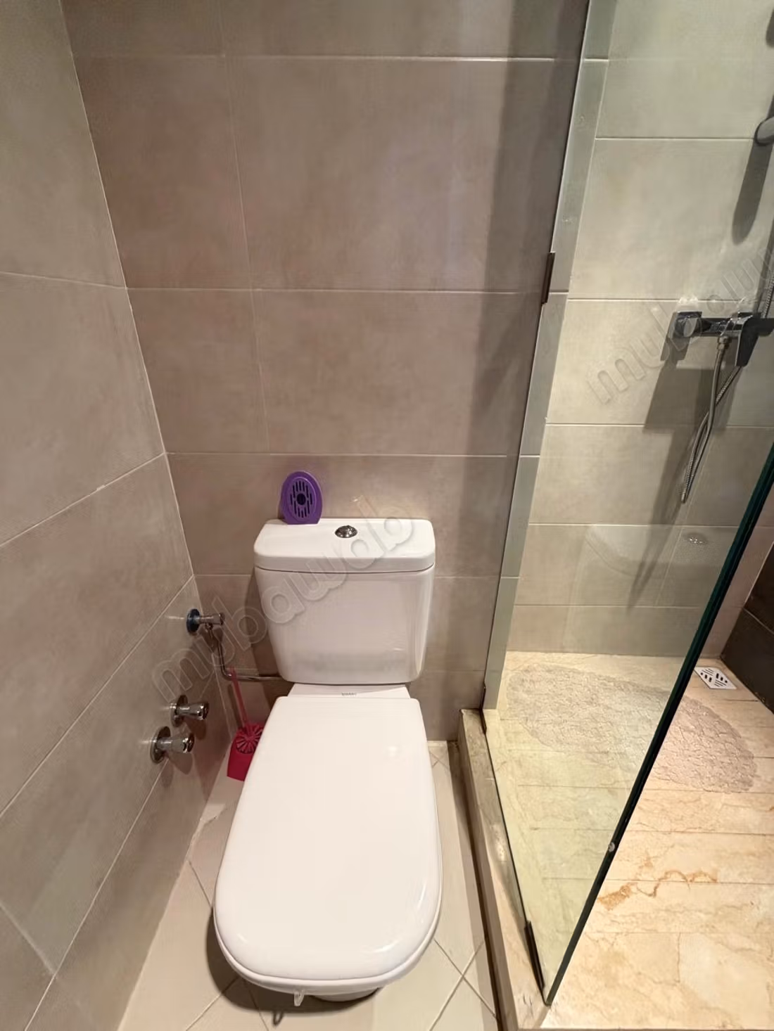 Magnificent apartment for rent with Pool