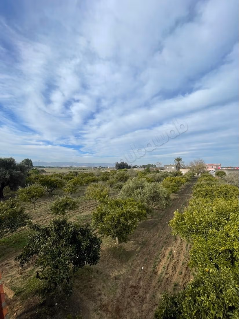 Terrain agricole à vendre