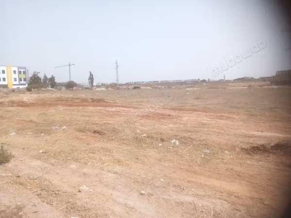 Terrain de vente 2 hectares 80 cent 
sidi maarouf