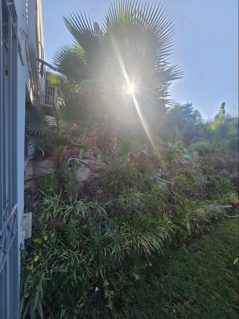 Appartamento con giardino in affitto a La Marsa