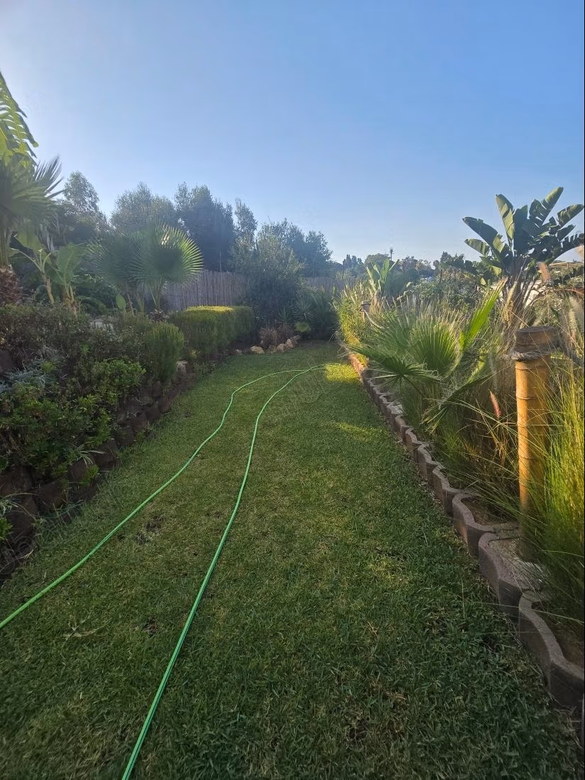 Appartamento con giardino in affitto a La Marsa