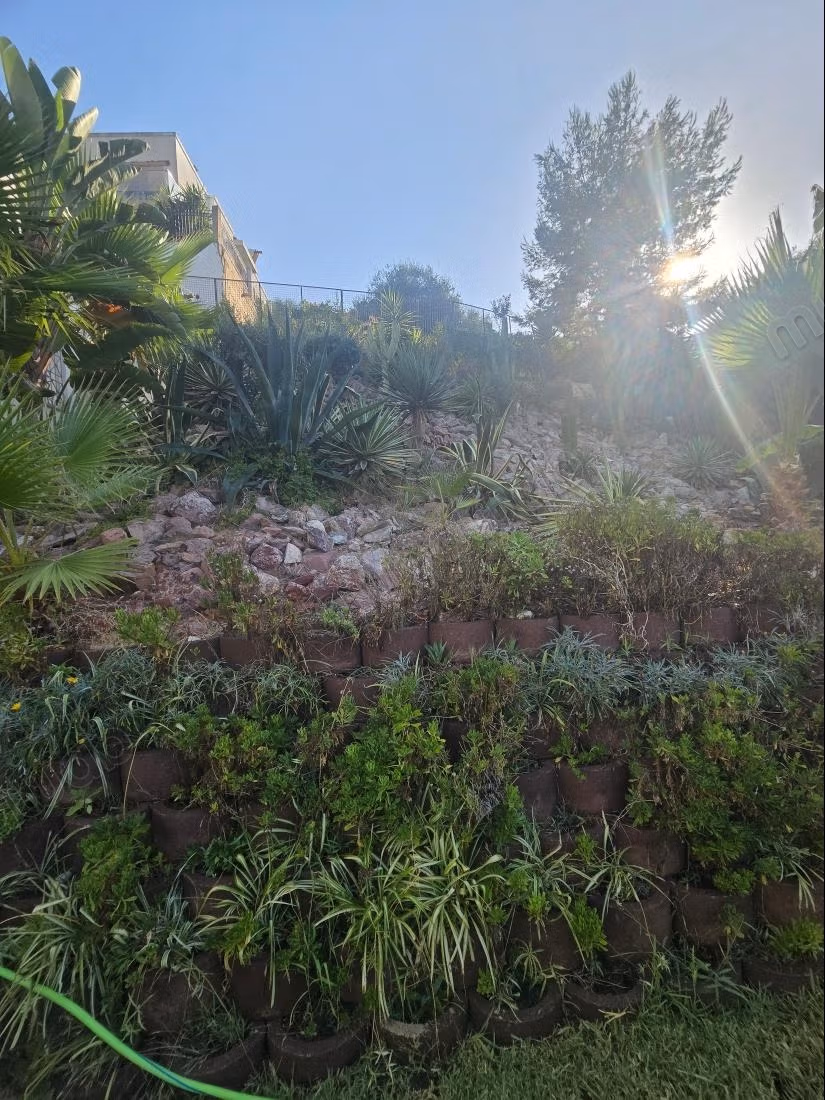 Appartamento con giardino in affitto a La Marsa
