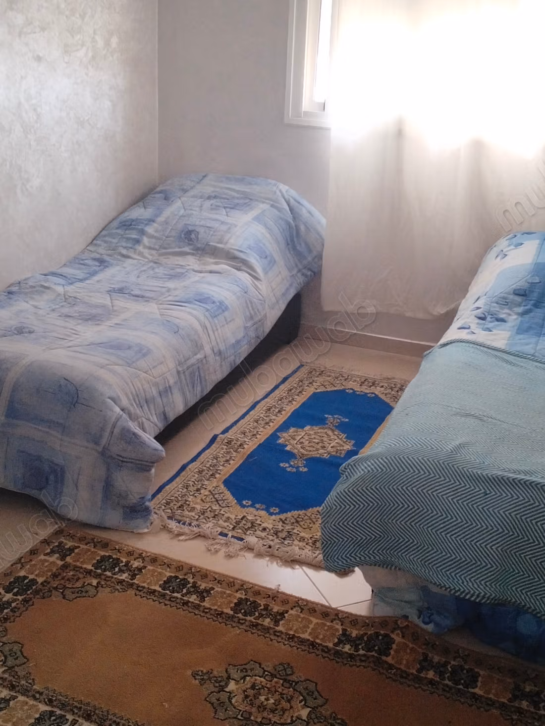 شقة للايجار