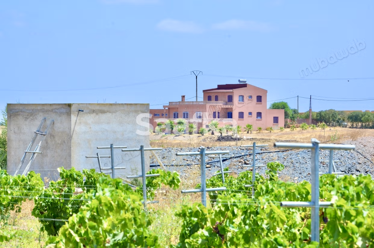 Ferme Had Braoucha, Domaine viticole d'exception