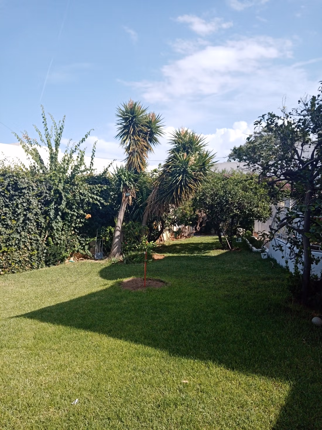 Villa à montfleury 
tunis